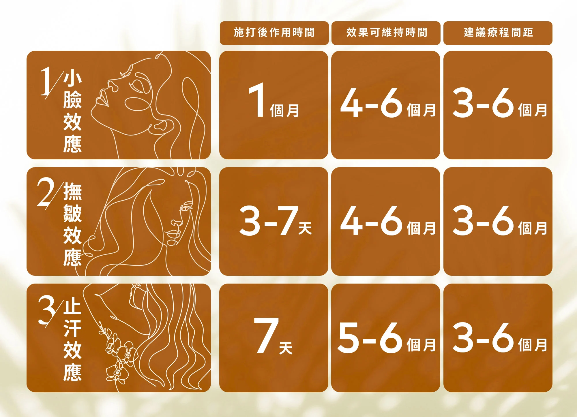 04 關於⾁毒桿菌的3種美學效應