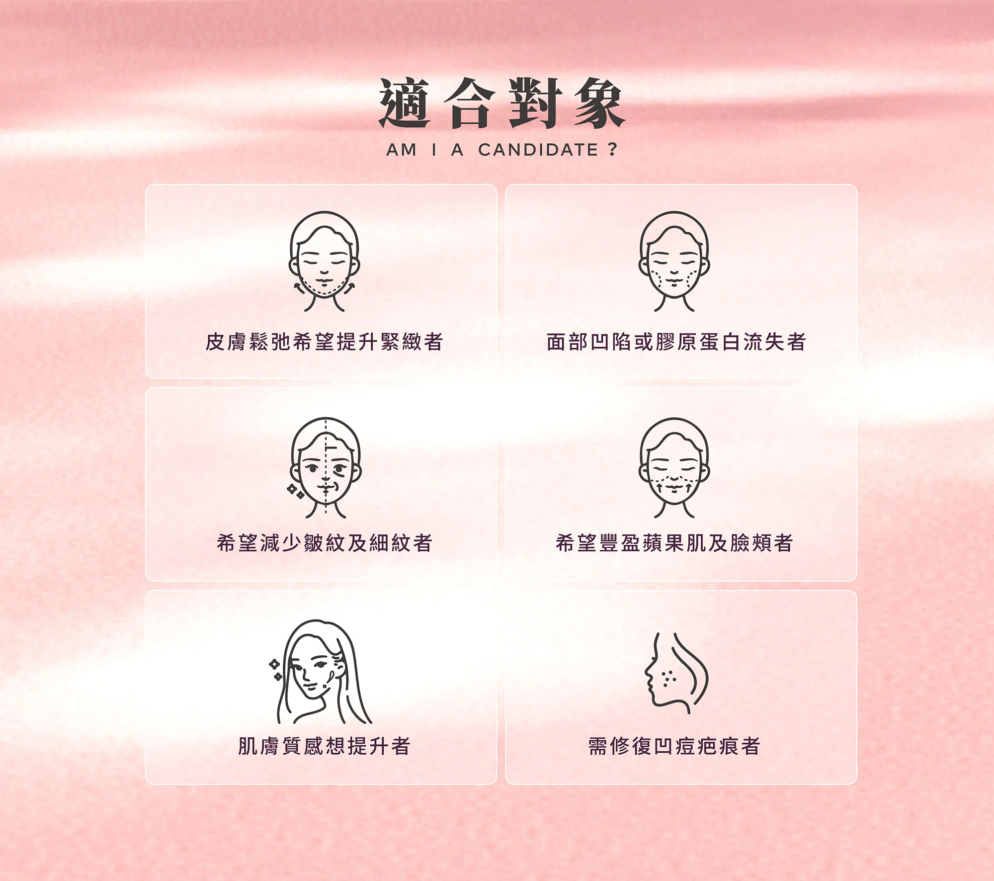 Web 薇貝拉 05