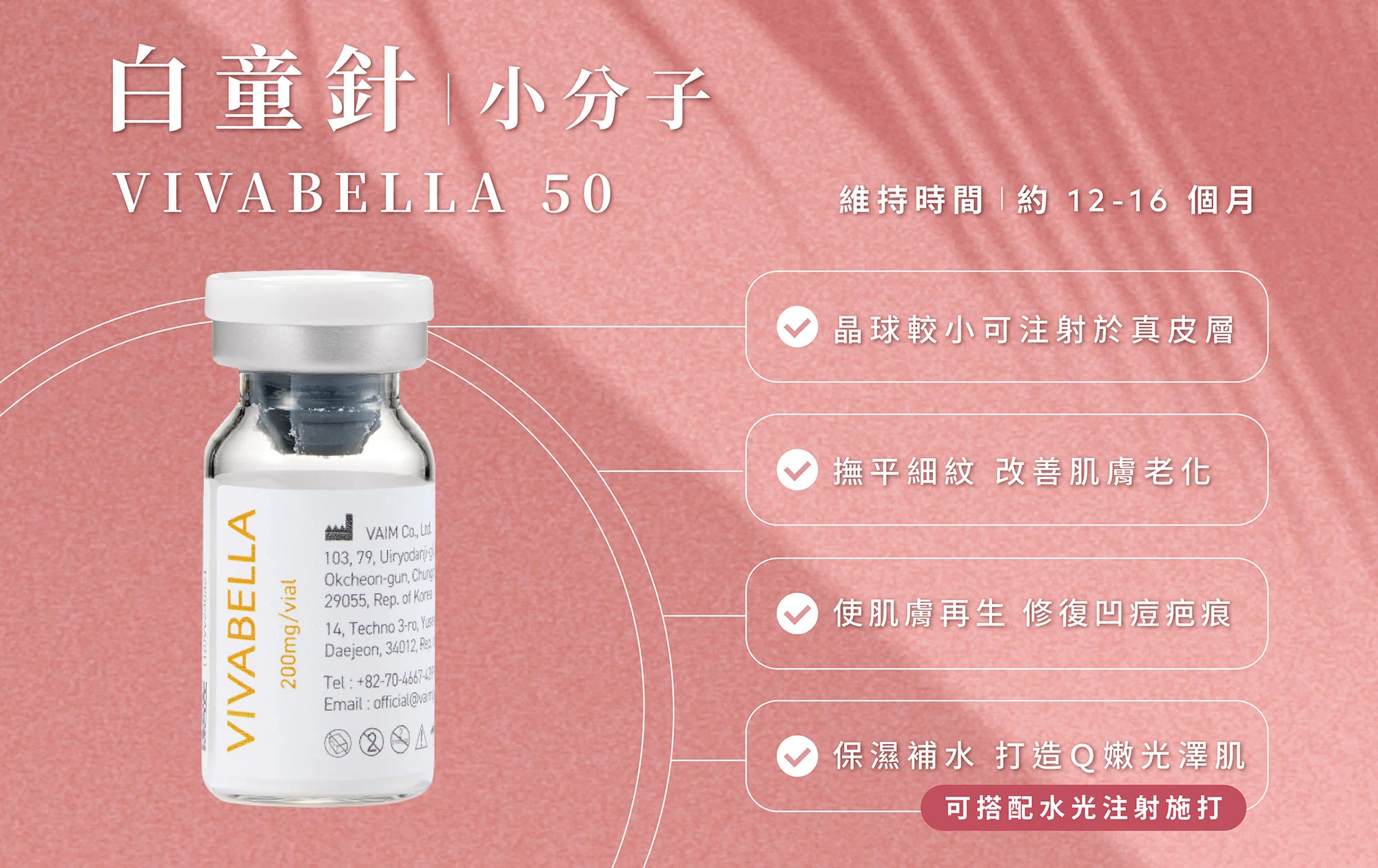 Web 薇貝拉 07