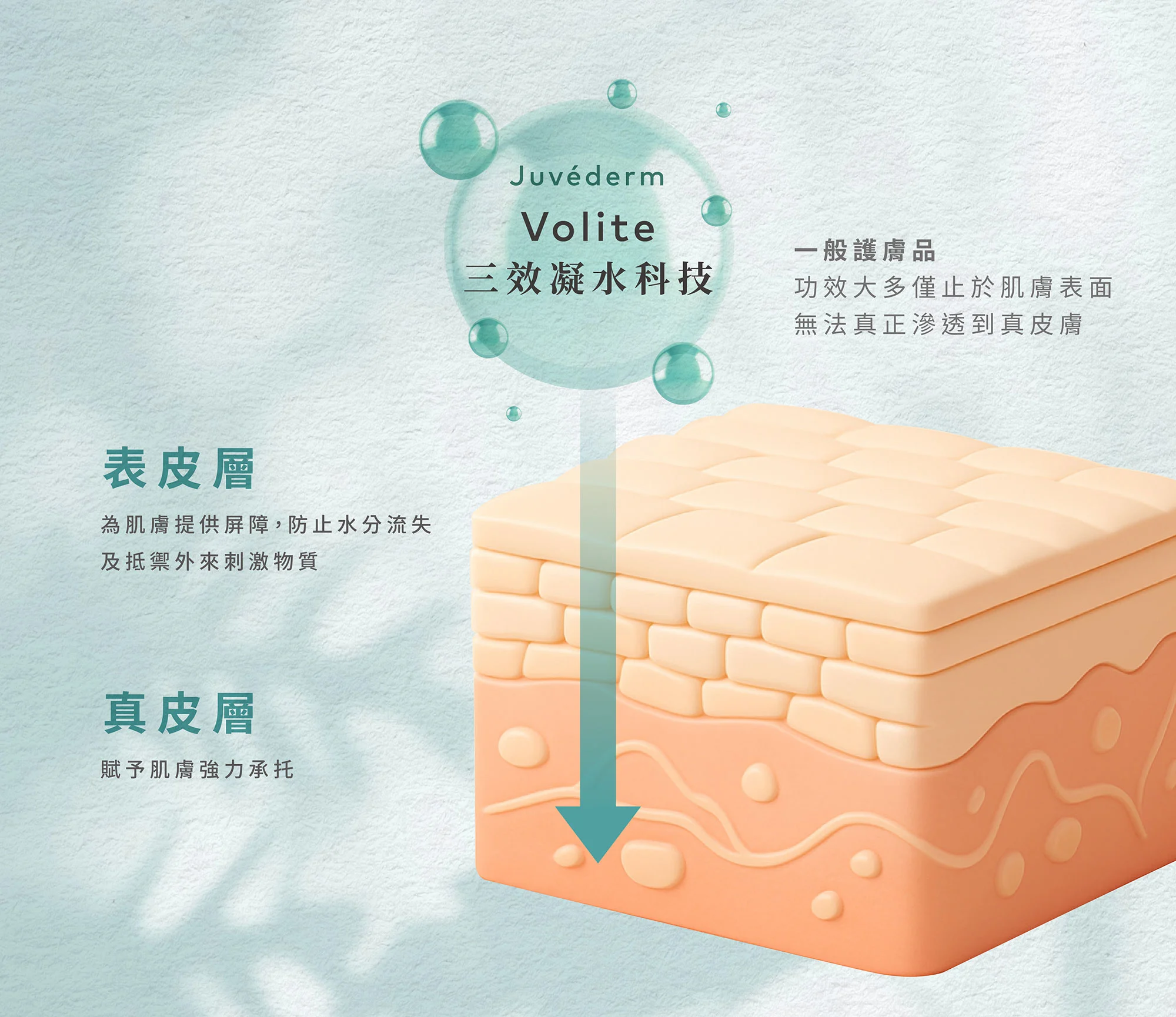 Web 肌因煥膚針 06 複本