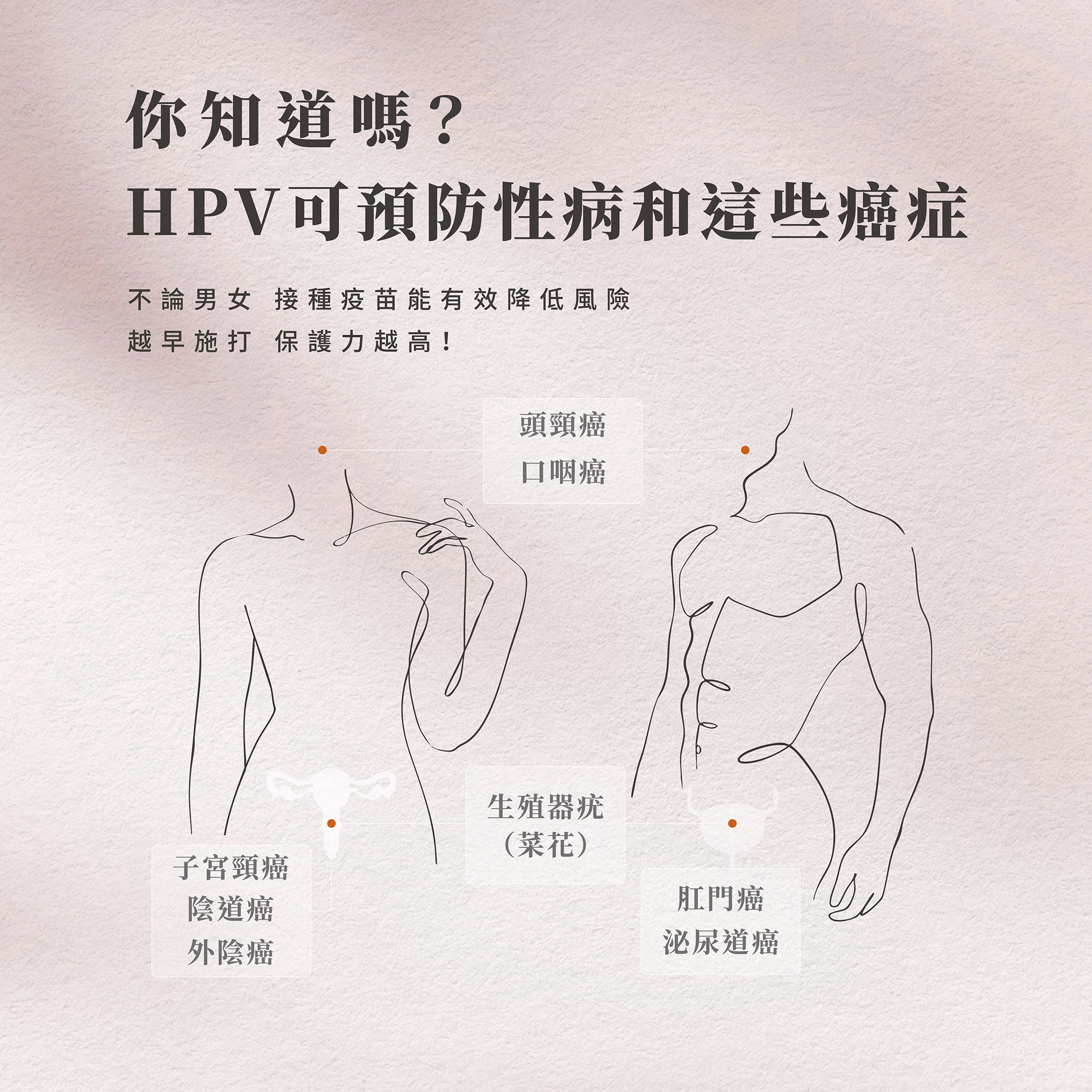 Web Hpv 04