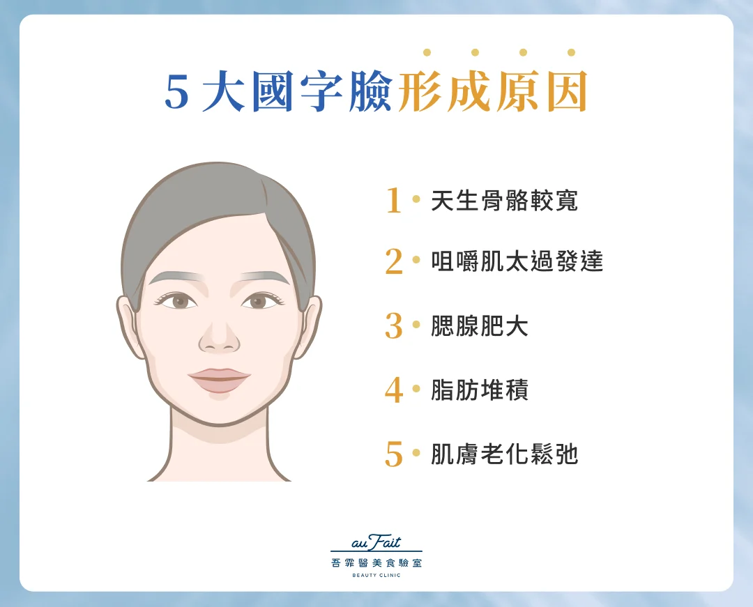 5 大國字臉形成原因