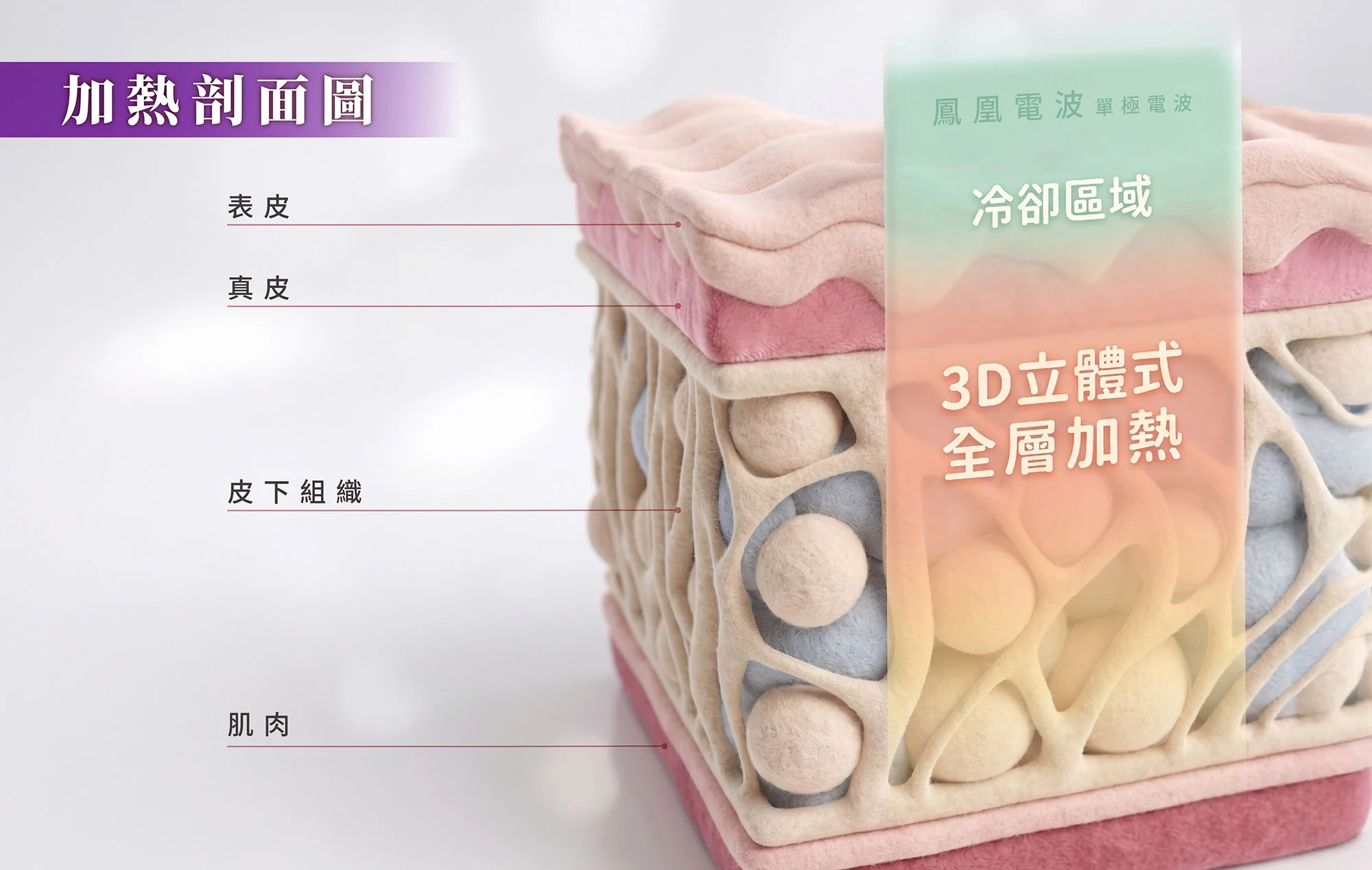 鳳凰電波 加熱原理&深度