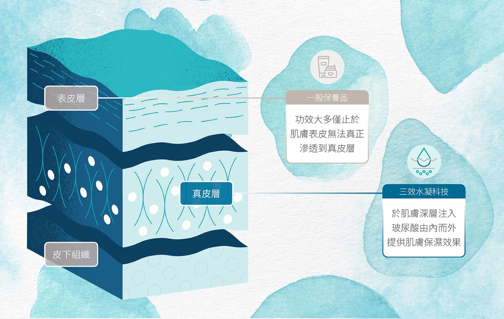 聚光針SKINVIVE-專利三效水凝技術 補水直達肌底