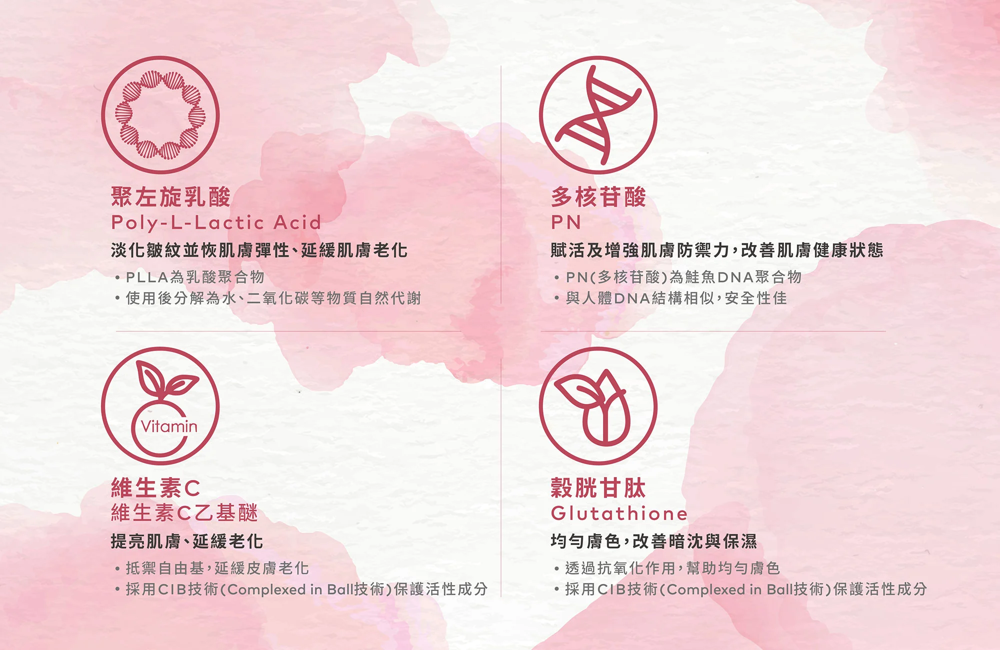 Pinklla超導復活粉光瓶-成分介紹