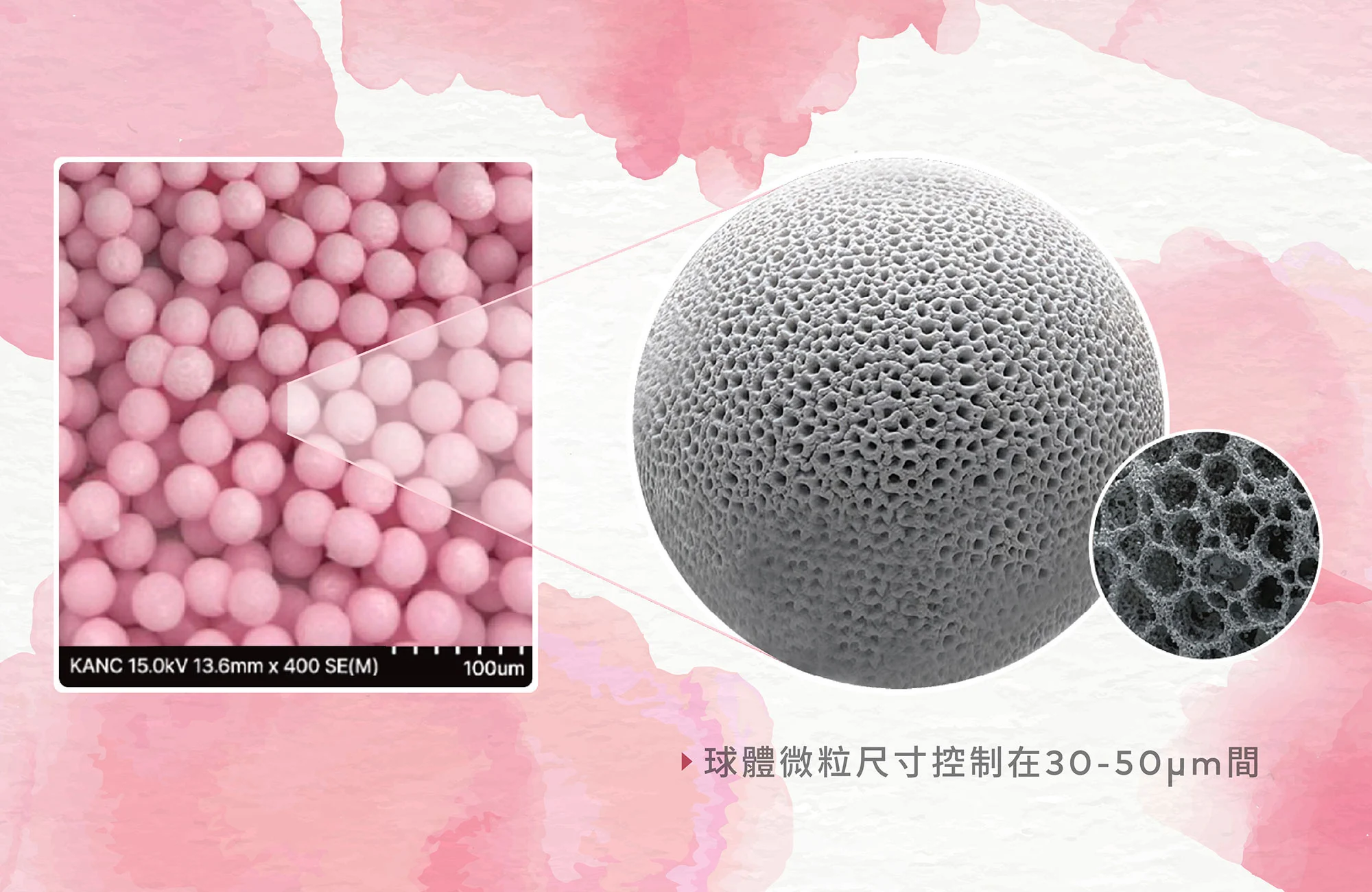 Pinklla超導復活粉光瓶-PLLA 3D孔洞球體微粒技術