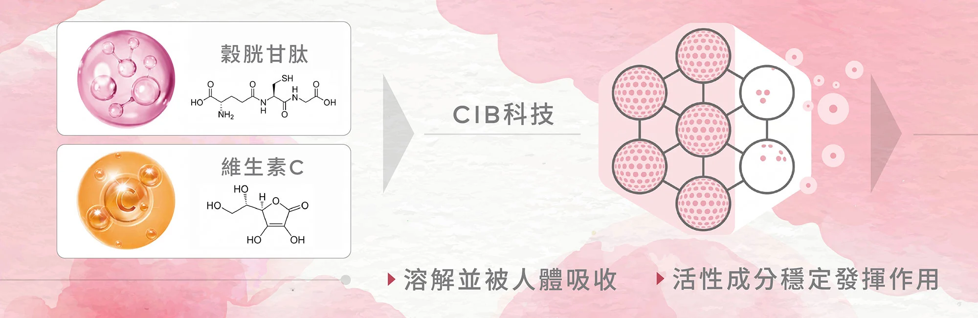 Pinklla超導復活粉光瓶-CIB穩定儲存技術